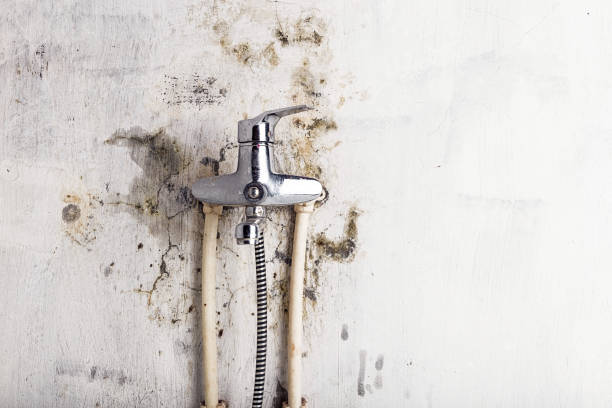 Best Mold Cleaning Services  in Sharon Hill, PA