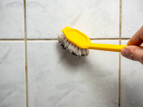 Trusted Sharon Hill, PA Mold Removal Experts