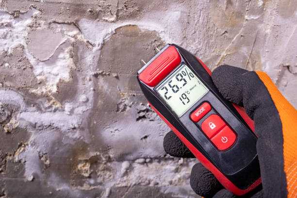 Best Black Mold Removal  in Sharon Hill, PA