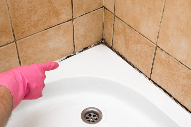 Best Residential Mold Removal  in Sharon Hill, PA